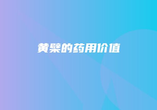 黄檗的药用价值