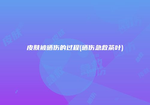 皮肤被晒伤的过程(晒伤急救茶叶)