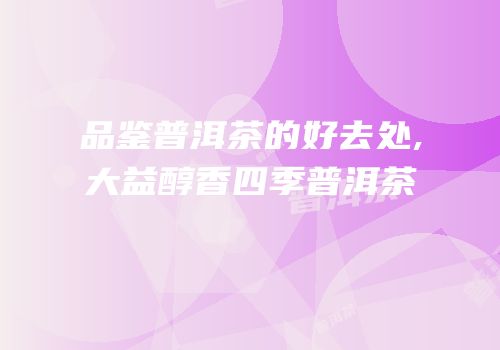 品鉴普洱茶的好去处,大益醇香四季普洱茶