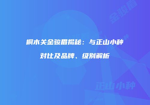 桐木关金骏眉揭秘：与正山小种对比及品牌、级别解析