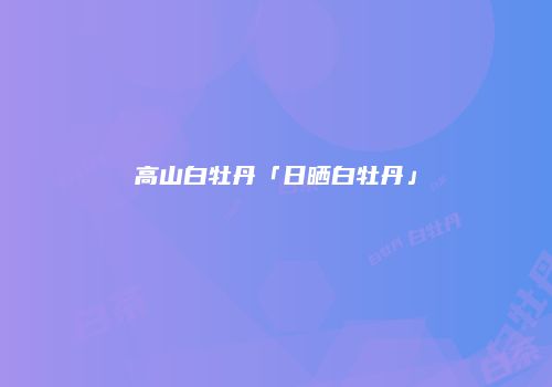 高山白牡丹「日晒白牡丹」