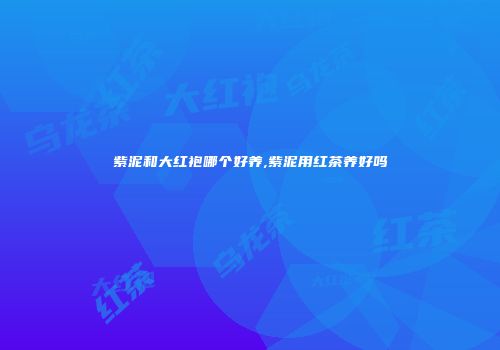 紫泥和大红袍哪个好养,紫泥用红茶养好吗
