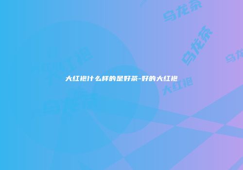 大红袍什么样的是好茶-好的大红袍