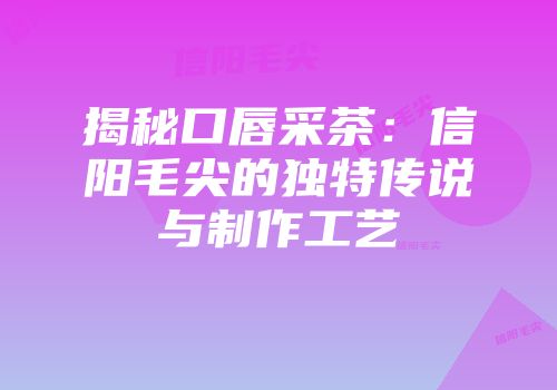 揭秘口唇采茶：信阳毛尖的独特传说与制作工艺