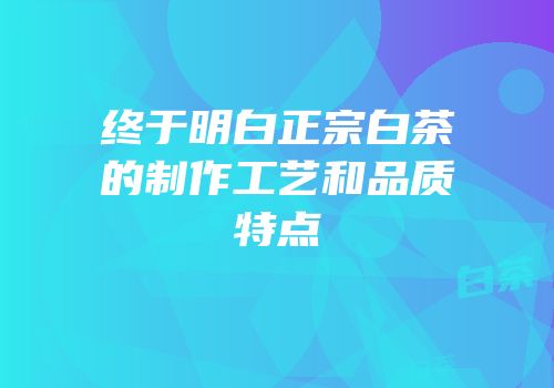 终于明白正宗白茶的制作工艺和品质特点