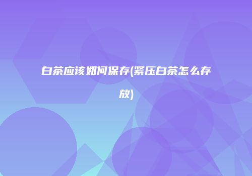 白茶应该如何保存(紧压白茶怎么存放)