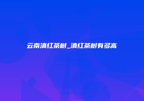 云南滇红茶树_滇红茶树有多高