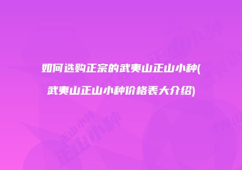 如何选购正宗的武夷山正山小种(武夷山正山小种价格表大介绍)