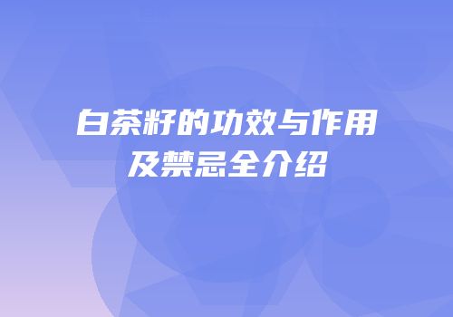白茶籽的功效与作用及禁忌全介绍