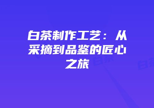 白茶制作工艺：从采摘到品鉴的匠心之旅