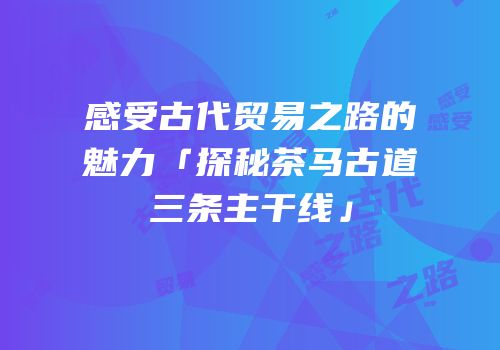 感受古代贸易之路的魅力「探秘茶马古道三条主干线」