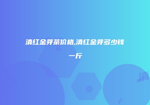 滇红金芽茶价格,滇红金芽多少钱一斤