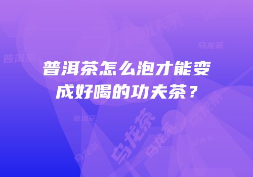 普洱茶怎么泡才能变成好喝的功夫茶？