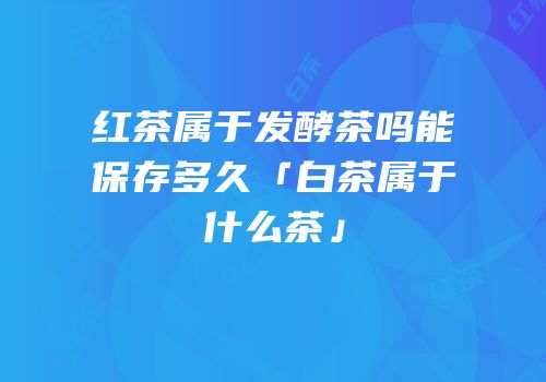 红茶属于发酵茶吗能保存多久「白茶属于什么茶」
