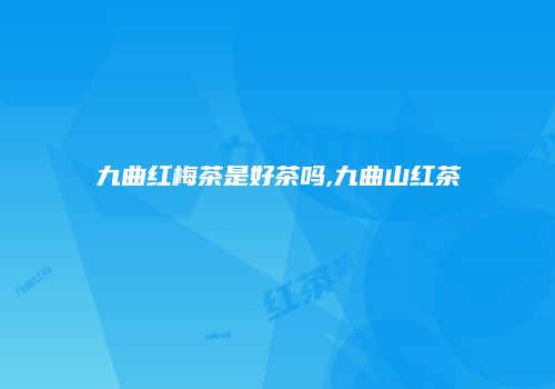 九曲红梅茶是好茶吗,九曲山红茶