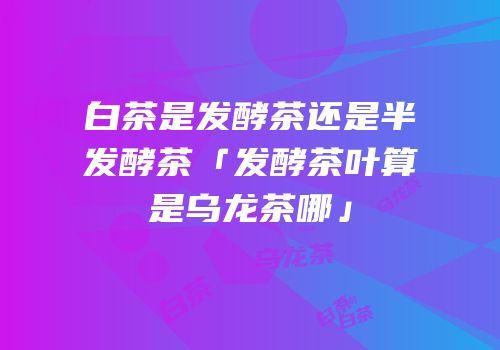 白茶是发酵茶还是半发酵茶「发酵茶叶算是乌龙茶哪」