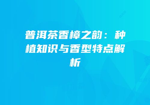 普洱茶香樟之韵：种植知识与香型特点解析