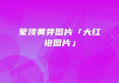 蒙顶黄芽图片「大红袍图片」
