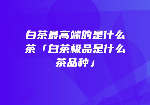 白茶最高端的是什么茶「白茶极品是什么茶品种」