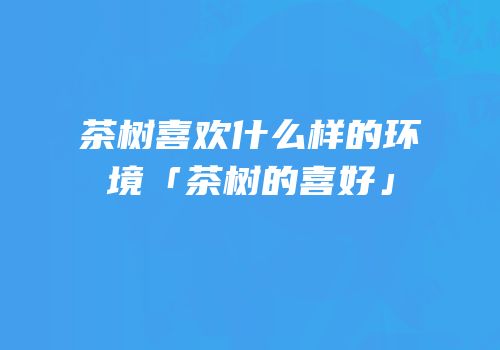 茶树喜欢什么样的环境「茶树的喜好」
