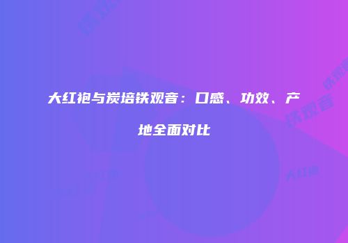 大红袍与炭培铁观音：口感、功效、产地全面对比