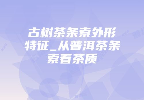 古树茶条索外形特征_从普洱茶条索看茶质