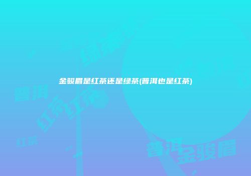 金骏眉是红茶还是绿茶(普洱也是红茶)