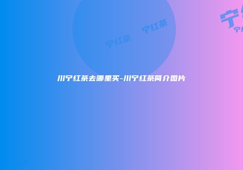 川宁红茶去哪里买-川宁红茶简介图片