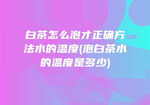 白茶怎么泡才正确方法水的温度(泡白茶水的温度是多少)