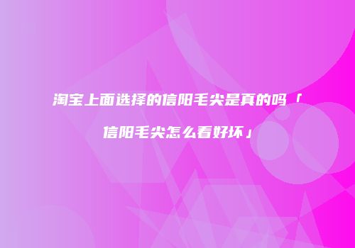 淘宝上面选择的信阳毛尖是真的吗「信阳毛尖怎么看好坏」