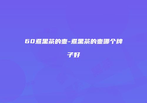 60煮黑茶的壶-煮黑茶的壶哪个牌子好