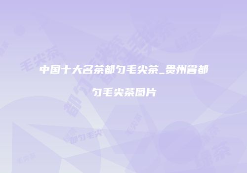 中国十大名茶都匀毛尖茶_贵州省都匀毛尖茶图片
