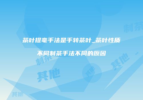 茶叶提毫手法是手转茶叶_茶叶性质不同制茶手法不同的原因