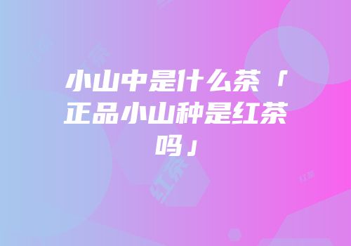 小山中是什么茶「正品小山种是红茶吗」
