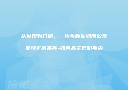 从外观到口感，一步步教你如何欣赏最纯正的茶香-如何品鉴信阳毛尖