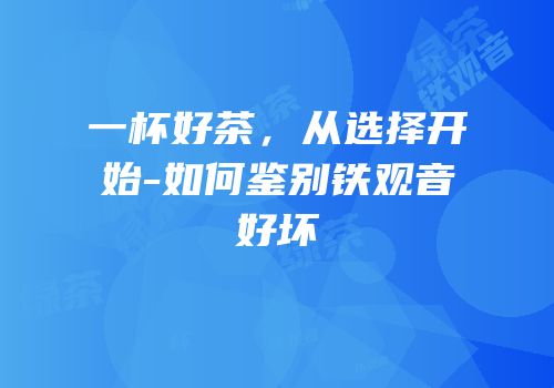 一杯好茶，从选择开始-如何鉴别铁观音好坏