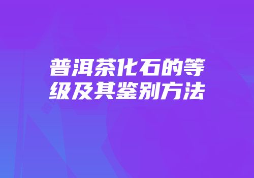 普洱茶化石的等级及其鉴别方法