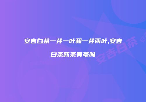 安吉白茶一芽一叶和一芽两叶,安吉白茶新茶有毫吗