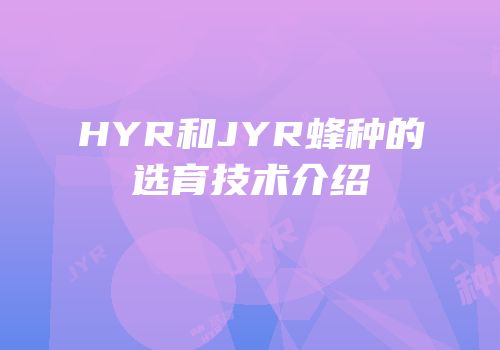 HYR和JYR蜂种的选育技术介绍