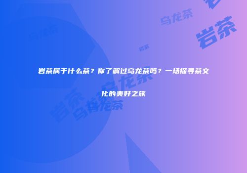 岩茶属于什么茶？你了解过乌龙茶吗？一场探寻茶文化的美好之旅