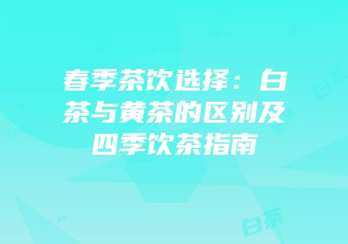 春季茶饮选择：白茶与黄茶的区别及四季饮茶指南