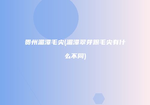 贵州湄潭毛尖(湄潭翠芽跟毛尖有什么不同)