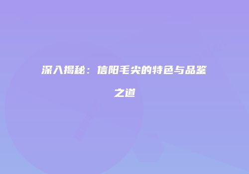 深入揭秘：信阳毛尖的特色与品鉴之道