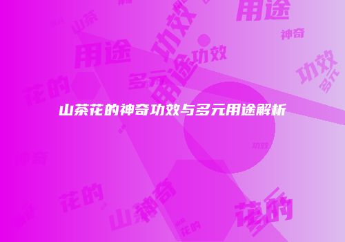 山茶花的神奇功效与多元用途解析
