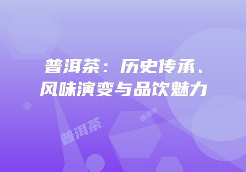 普洱茶：历史传承、风味演变与品饮魅力