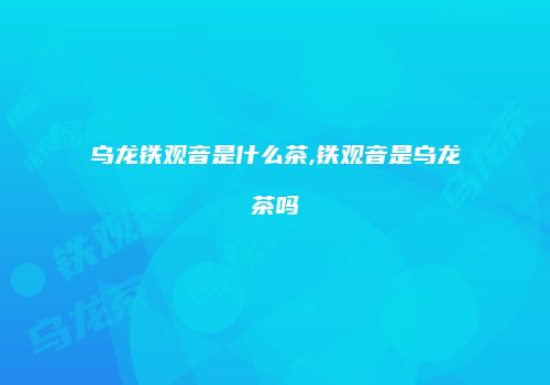 乌龙铁观音是什么茶,铁观音是乌龙茶吗