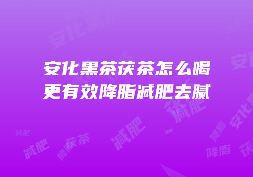 安化黑茶茯茶怎么喝更有效降脂减肥去腻