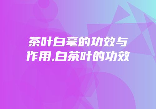 茶叶白毫的功效与作用,白茶叶的功效