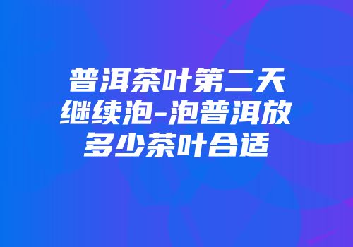 普洱茶叶第二天继续泡-泡普洱放多少茶叶合适