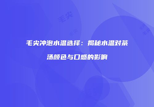 毛尖冲泡水温选择：揭秘水温对茶汤颜色与口感的影响